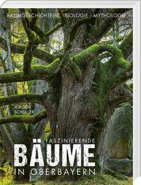 portada Faszinierende Bäume in Oberbayern (in German)