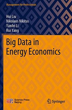 portada Big Data in Energy Economics (Paperback)
