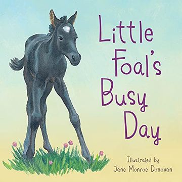portada Little Foal's Busy day (en Inglés)