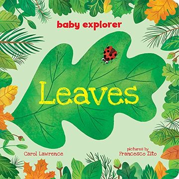 portada Leaves (Baby Explorer) 