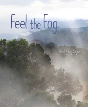 portada Feel the fog (Weather Walks) (en Inglés)