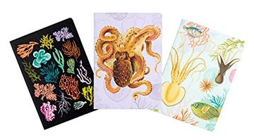portada Art of Nature: Under the sea Sewn Notebook Collection (Set of 3): (Cute Stationery Gift, Gift for Girls, Notebooks) (en Inglés)