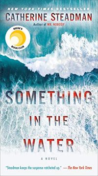 portada Something in the Water 