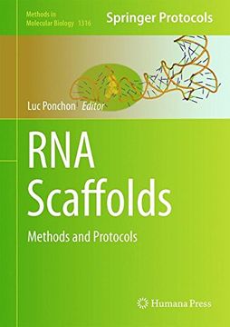 portada RNA Scaffolds: Methods and Protocols (Methods in Molecular Biology)