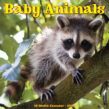 portada Baby Animals 2024 12 x 12 Wall Calendar (en Inglés)