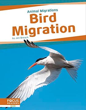 portada Bird Migration (Animal Migrations) (en Inglés)