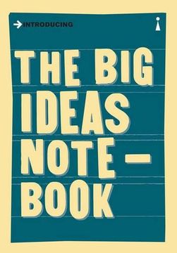 portada The Big Ideas Not: A Graphic Guide (Introducing Graphic Guide)