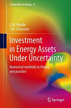 portada Investment in Energy Assets Under Uncertainty: Numerical Methods in Theory and Practice (en Inglés)