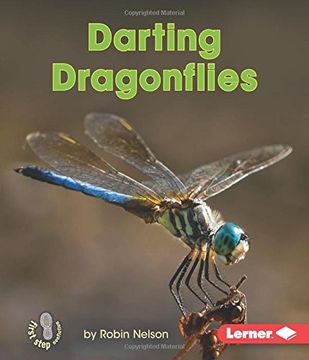 portada Darting Dragonflies (First Step Nonfiction) (First Step Nonfiction - Backyard Critters)