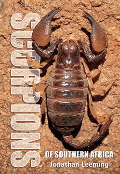 portada Scorpions of South Africa (en Inglés)