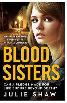 portada Blood Sisters: Can a Pledge Made for Life Endure Beyond Death? (Notorious Hudson Family 6) (en Inglés)