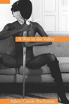 portada A war in the Valley (en Inglés)