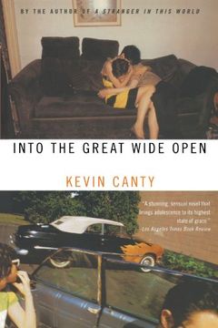 portada Into the Great Wide Open (in English)