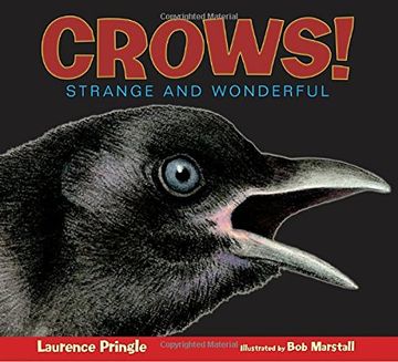 portada Crows! Strange and Wonderful (in English)
