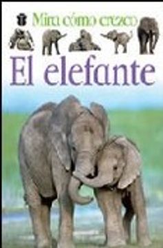 portada Elefante Animales A Tu Alcance