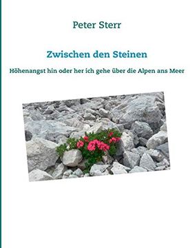 portada Zwischen den Steinen (in German)