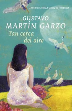 portada Tan Cerca del Aire (ix Premio Torrevieja de Novela, 2010) (in Spanish)