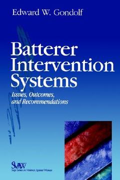 portada batterer intervention systems: issues, outcomes, and recommendations (in English)