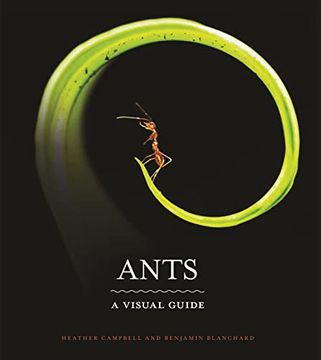 portada Ants: A Visual Guide (en Inglés)