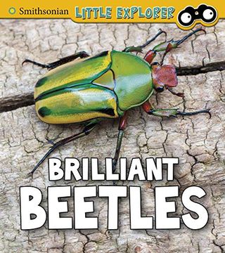 portada Brilliant Beetles (Smithsonian Little Explorer: Insect Explorer) (en Inglés)