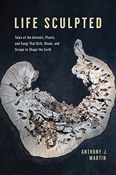 portada Life Sculpted: Tales of the Animals, Plants, and Fungi That Drill, Break, and Scrape to Shape the Earth (in English)