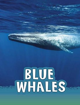 portada Blue Whales (Animals) (en Inglés)