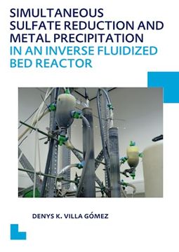 portada Simultaneous Sulfate Reduction and Metal Precipitation in an Inverse Fluidized Bed Reactor: Unesco-Ihe PhD Thesis (en Inglés)