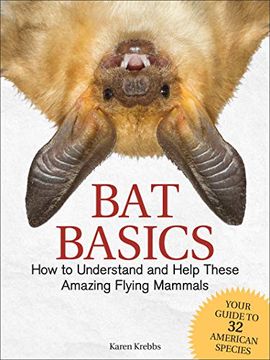 portada Bat Basics: How to Understand and Help These Amazing Flying Mammals (en Inglés)