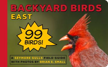 portada Backyard Birds East