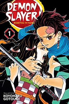 portada Demon Slayer: Kimetsu no Yaiba, Vol. 1 (en Inglés)