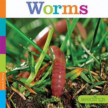 portada Worms (Seedlings)