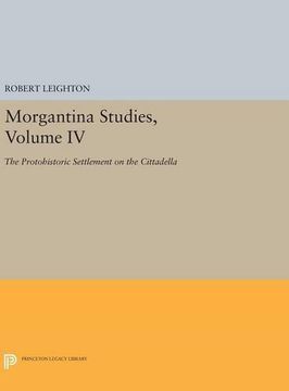 portada Morgantina Studies, Volume IV: The Protohistoric Settlement on the Cittadella (Princeton Legacy Library)
