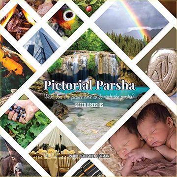 portada Pictorial Parsha: Bereishis: What Does the Picture Have to do With the Parsha? (in English)