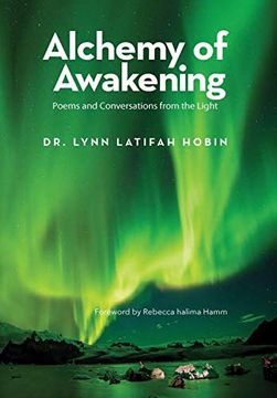 portada Alchemy of Awakening (en Inglés)