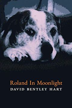 portada Roland in Moonlight (in English)