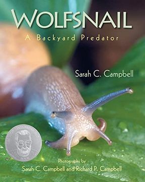 portada Wolfsnail: A Backyard Predator (in English)