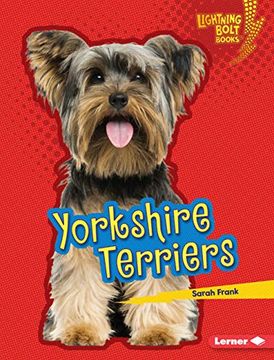 Yorkshire Terriers (Lightning Bolt Books: Who's a Good Dog? ) (en Inglés)