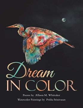 portada Dream in Color (en Inglés)