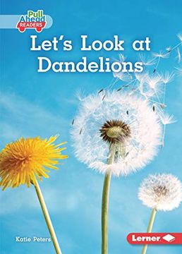 portada Let's Look at Dandelions (en Inglés)