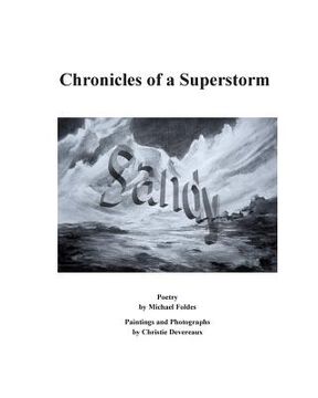 portada SANDY Chronicles of a Superstorm (en Inglés)
