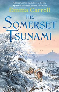 portada The Somerset Tsunami (en Inglés)