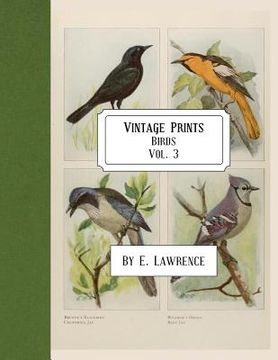 portada Vintage Prints: Birds: Vol. 3 (in English)