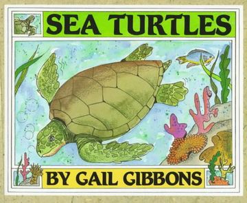 portada Sea Turtles (in English)