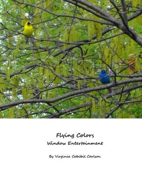 portada Flying Colors: Window Entertainment