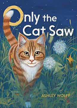 portada Only the cat saw (en Inglés)