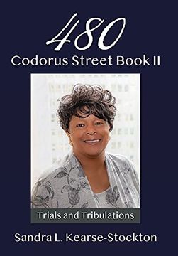 portada 480 Codorus Street Book ii (in English)