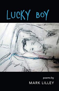 portada Lucky boy (in English)