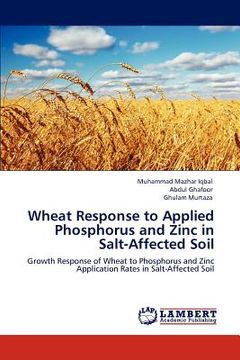 portada wheat response to applied phosphorus and zinc in salt-affected soil (en Inglés)