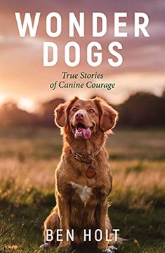 portada Wonder Dogs: True Stories of Canine Courage (en Inglés)