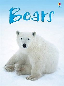 portada Bears (en Inglés)